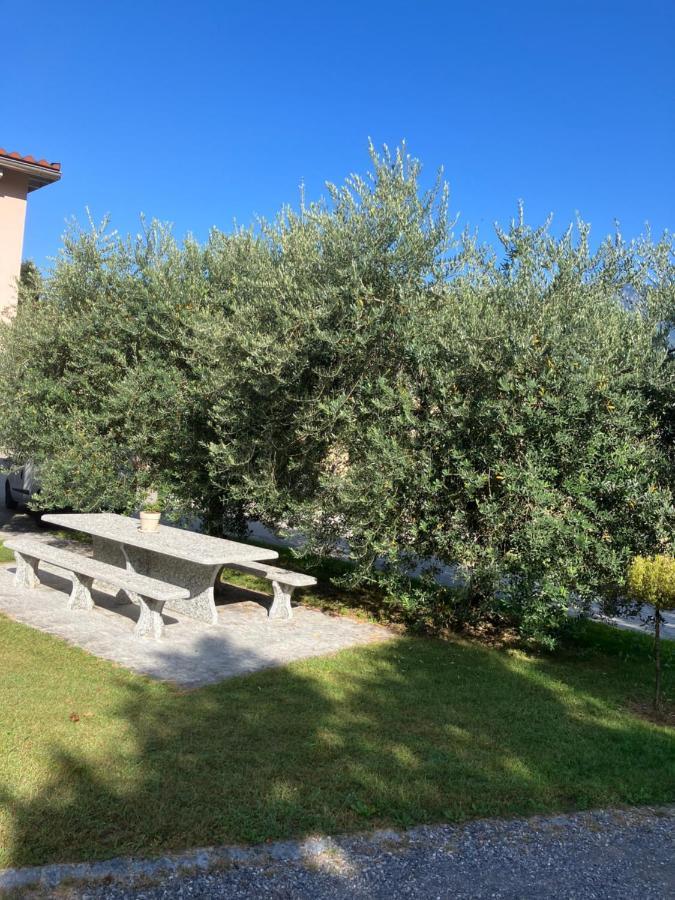 Residenza Giovanni Contone Εξωτερικό φωτογραφία